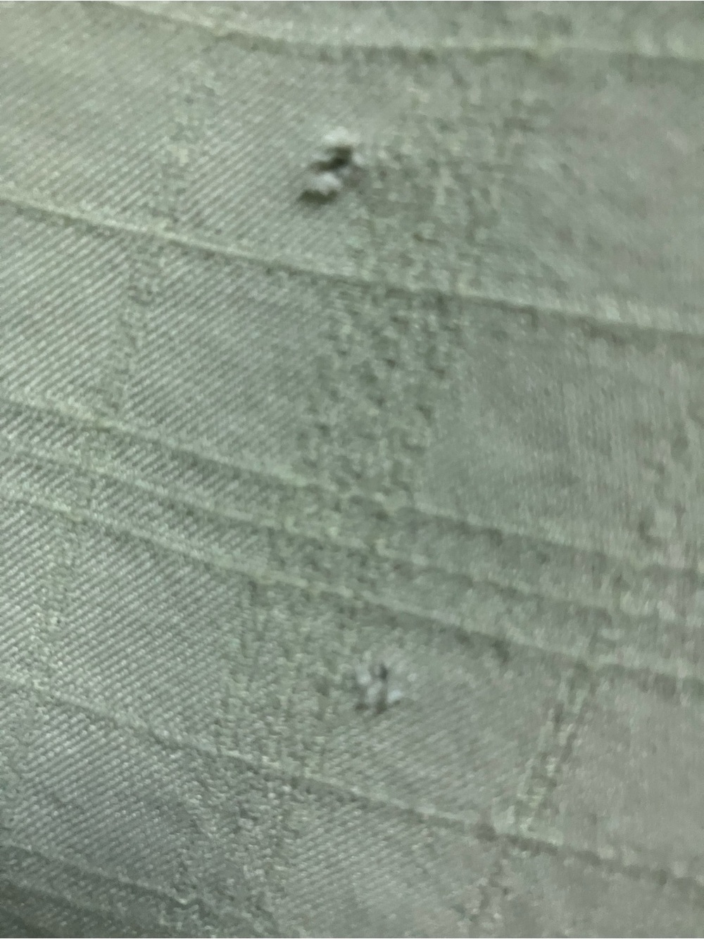 Light Green Short-Sleeve Button-Down Shirt with Chest Pocket - Picture 3 of 5